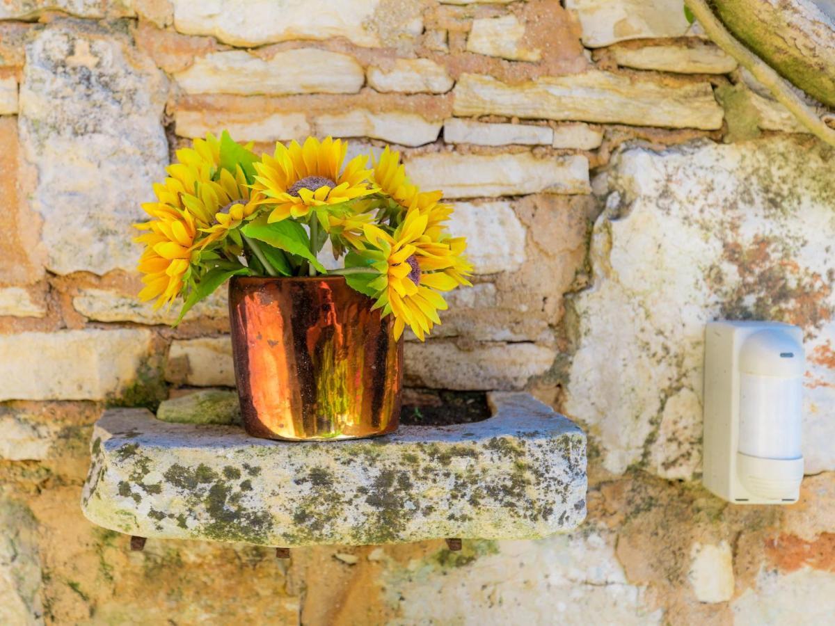 Moira By Interhome Vila Umag